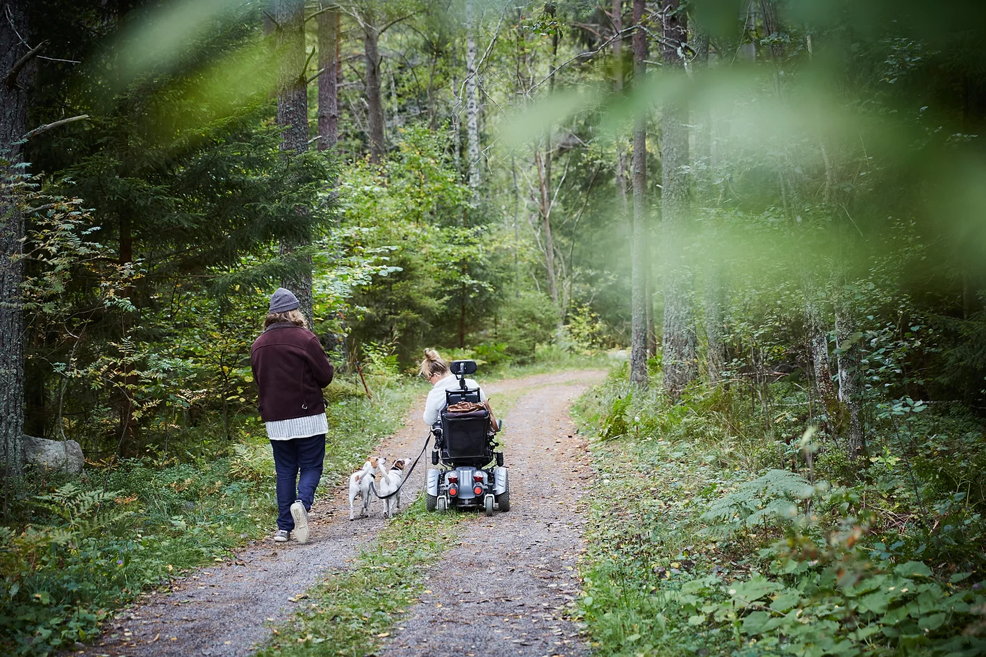 TREC Home page Who we are & Who Serve A couple walking their dogs at the forest